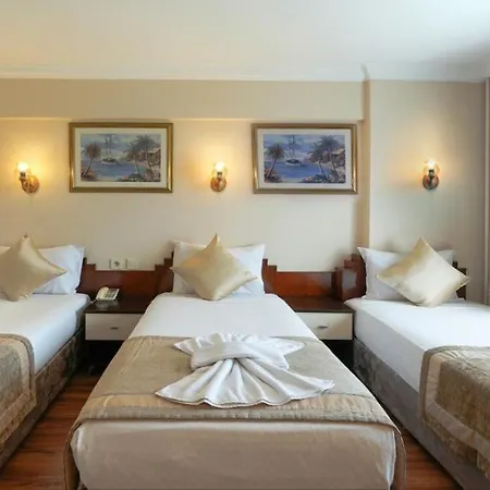 Akyildiz Hotel 2*