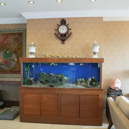 Akyildiz Hotel 2*