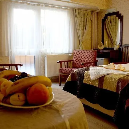 Hotell Akyildiz Istanbul